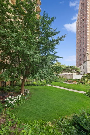 View of a garden area with a tall building in the background.