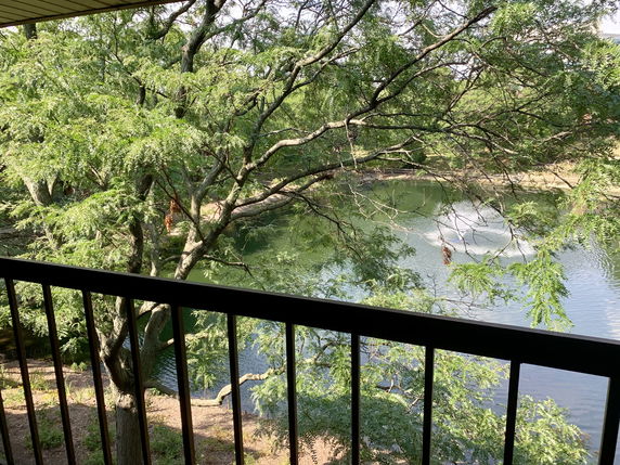 View from a balcony overlooking a pond surrounded by trees.