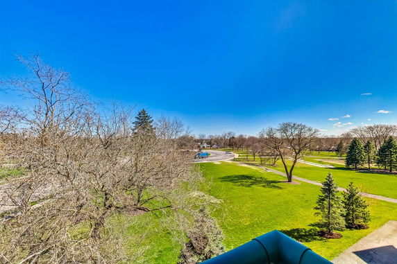 Panoramic view of a park with trees and paths under a clear blue sky.