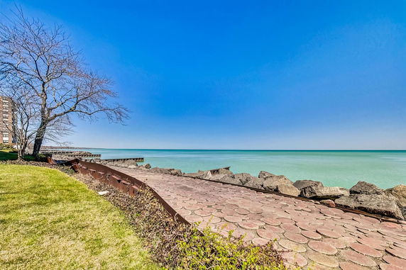 View of a rocky shoreline next to a large body of water, with a tree and a grassy area nearby.