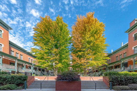 Front view of a brick townhouse complex with two symmetrical buildings and central staircase, flanked by large trees.