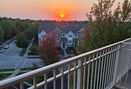 ilmred/7d6a87698002dcf95d893d3b165cde96.jpg?width=131&height=105&format3=webp