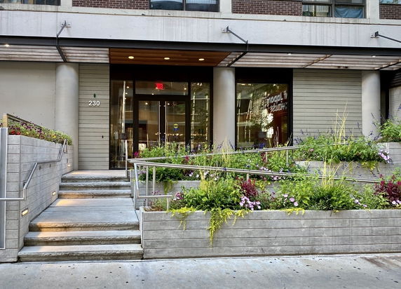 Front view of a building entrance with stairs and planters.