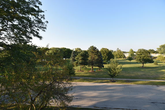 Wide angle view of a park with trees and open grassy areas.