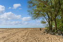 ilmred/8acd5bdc3634362ead02b04fa7f546c7.jpg?width=131&height=105&format3=webp