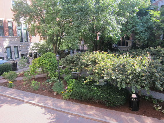 View of surrounding residential buildings with trees and garden area.