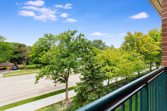 View of trees and a street from a balcony.