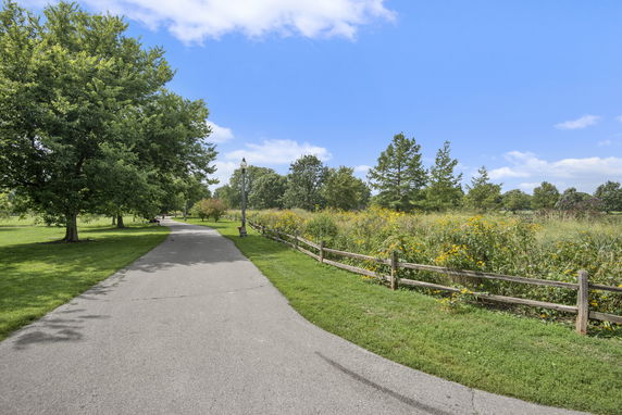 Pathway through a park with trees and flowers along the sides.