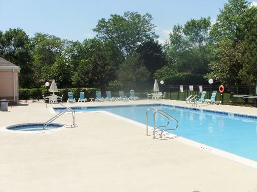 Outdoor swimming pool area with lounge chairs and umbrellas.
