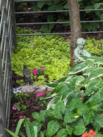 Garden area with a small statue and various plants and flowers.