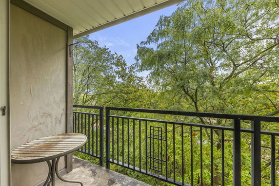 View from a balcony with metal railing overlooking trees.
