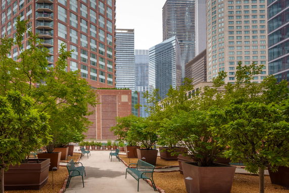 Rooftop with potted plants and benches, surrounded by tall buildings.