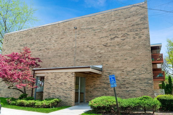 Front view of a brick building with a glass entrance and a tree with pink flowers.