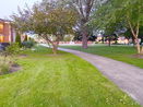 ilmred/9bf8e694cb2a6fd30d36db42ebb7f1ce.jpg?width=131&height=105&format3=webp