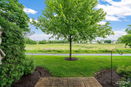 ilmred/9cd43faceeef2656dab70645edb5c726.jpg?width=131&height=105&format3=webp