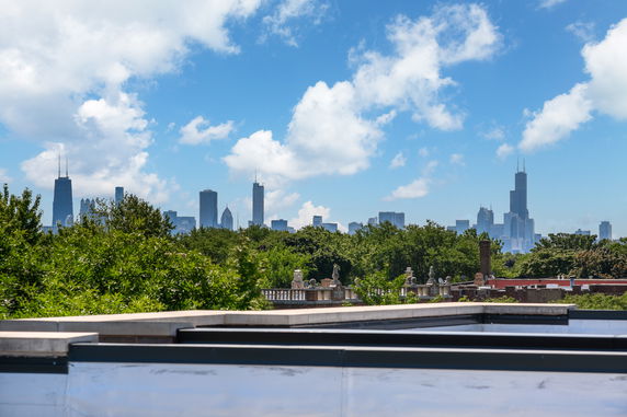 Panoramic view of a city skyline with skyscrapers seen from a rooftop with green trees in the foreground.