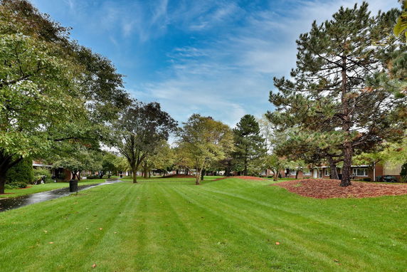 Open green space with trees and pathway in a residential area.