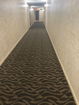 ilmred/a183ac204a639084eb078b1a1ba9b6c2.jpg?width=131&height=105&format3=webp
