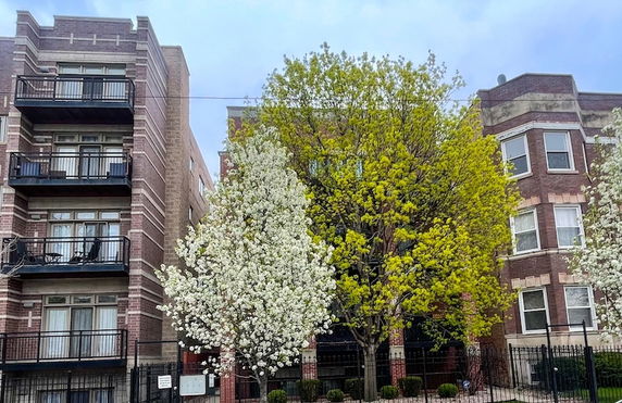 Front view of two adjacent multi-story brick buildings with balconies.