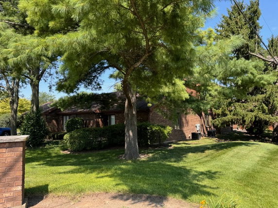 Front view of a single-story brick house surrounded by trees and shrubs.