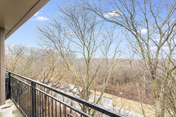 View from a high vantage point with trees and a road below.