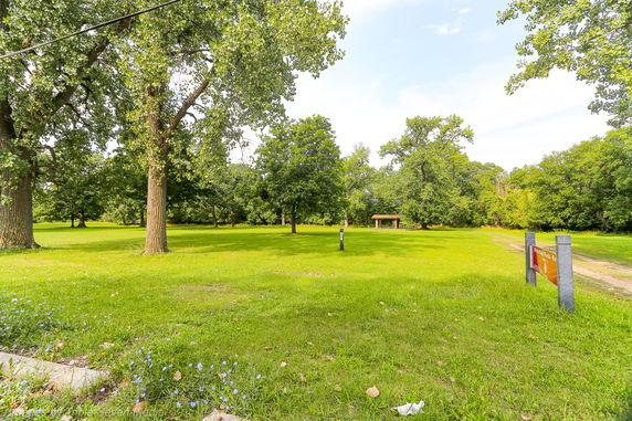 A grassy park area with trees and a small shelter in the distance.