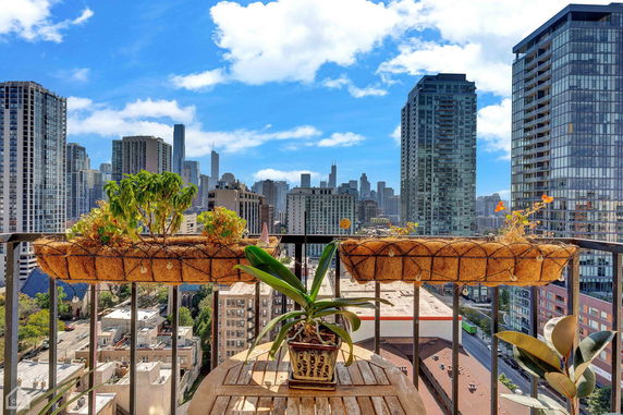 View of city skyscrapers from a balcony with plants.