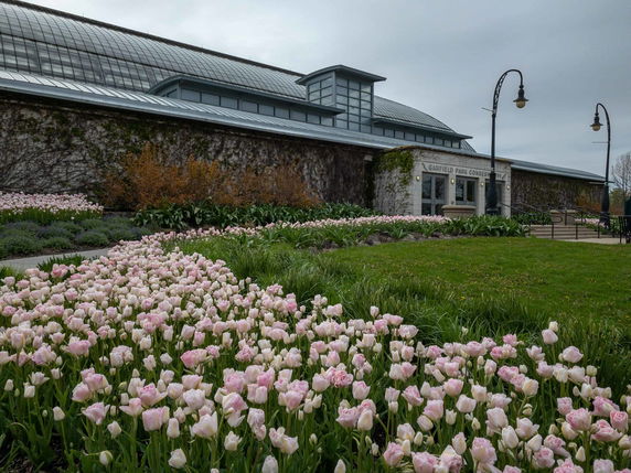 Front view of a building with a glass roof and a well-maintained garden with pink flowers in the foreground.
