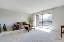 ilmred/abe0cce9a3cad7437aa08de0396a60e5.jpg?width=131&height=105&format3=webp