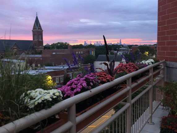 View of a church tower and city skyline at sunset from a building's balcony with flowers on the railing.