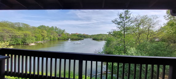 Panoramic view of a lake with fountains and surrounding trees.