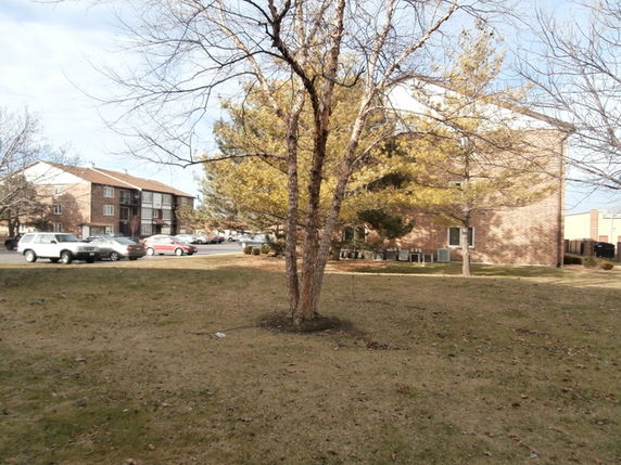 View of apartment buildings and parking lot with trees in the foreground.