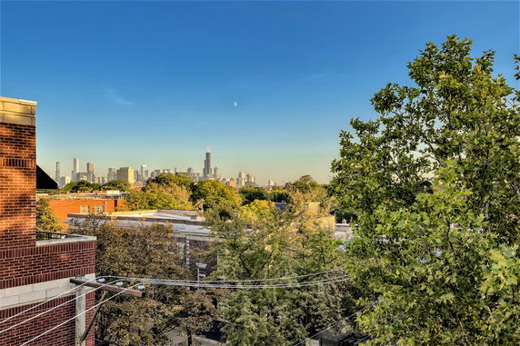 Panoramic view of a city skyline with trees in the foreground.