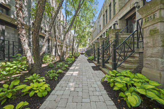 Front view of a row of townhouses with brick pathway and greenery.