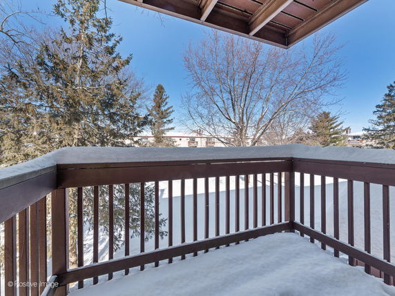 View from a snow-covered balcony overlooking trees and nearby buildings.