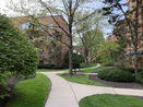 ilmred/bedd6bfb93af1ed161b85a54da00465a.jpg?width=131&height=105&format3=webp