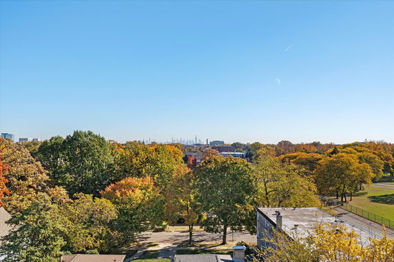 Panoramic view of a city skyline in the distance with a park and trees in the foreground.