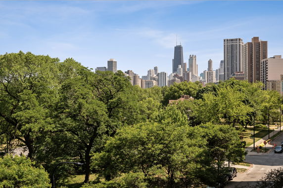 Panoramic view of a city skyline with tall buildings behind a foreground of lush green trees.