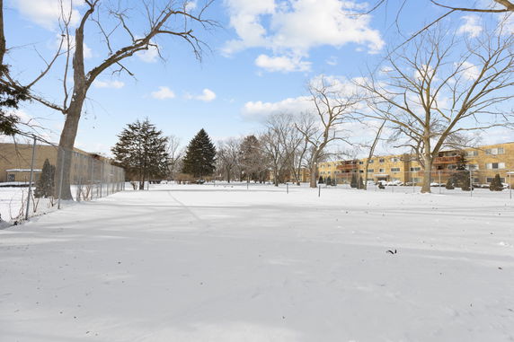 Snow-covered area with buildings in the background and leafless trees.