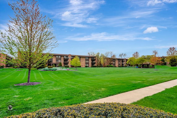 View of a large grassy area with trees and distant apartment buildings.