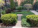 ilmred/cfa796753164e9e8f52724eed0323baf.jpg?width=131&height=105&format3=webp