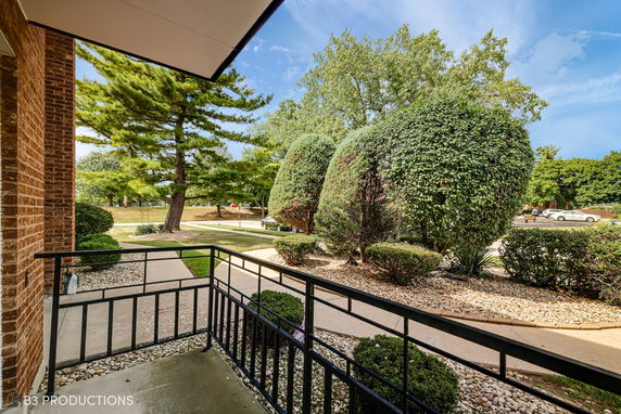 View from a building showing landscaped garden with bushes and trees