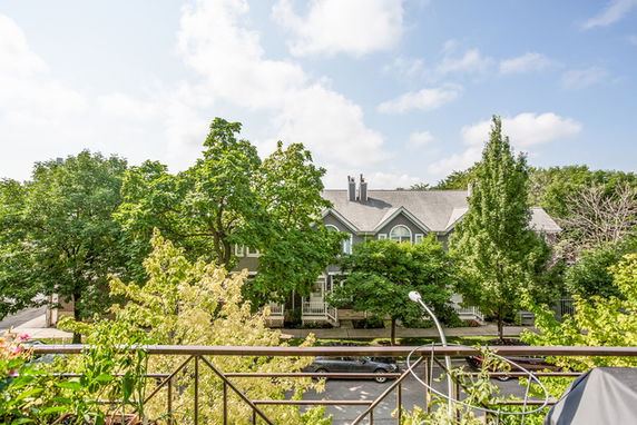 Panoramic view of houses and trees from a higher vantage point.