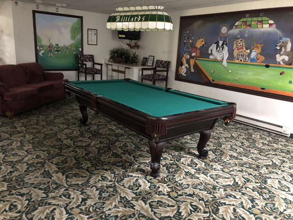 Room with a billiards table, sofa, and artistic murals on the walls.