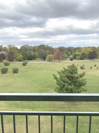 View from a building overlooking a landscape with trees and open grassy area.