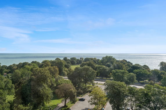 Wide angle view of a coastal area with trees and water in the distance.