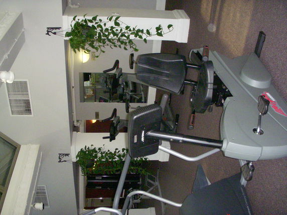 Indoor gym area with exercise equipment and plants.