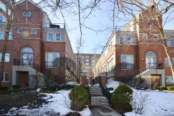 Front view of two adjacent multi-story brick buildings with steps leading to entrances.