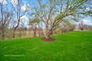 ilmred/ddc100ca60667dfdb1447d8c9c004705.jpg?width=131&height=105&format3=webp