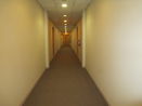 ilmred/dfb32a4cc6d45071de73a3ff76b4774e.jpg?width=131&height=105&format3=webp
